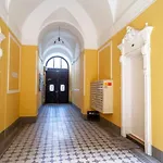 Extra Central Brand New And Large Ac Apartment